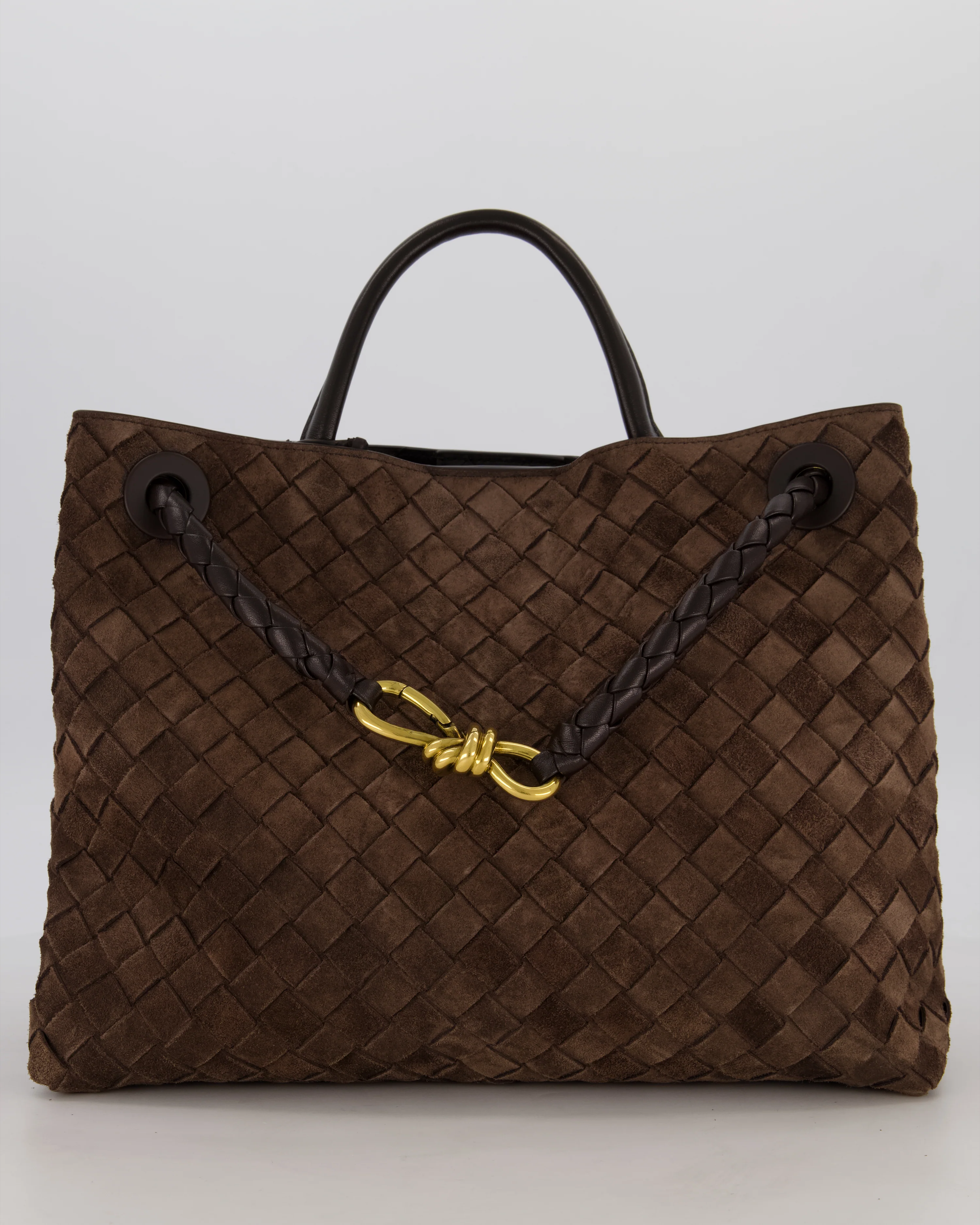 Bottega Veneta Medium Andiamo Bag in Fondant Intrecciato Suede Leather with Gold Hardware RRP £4,250