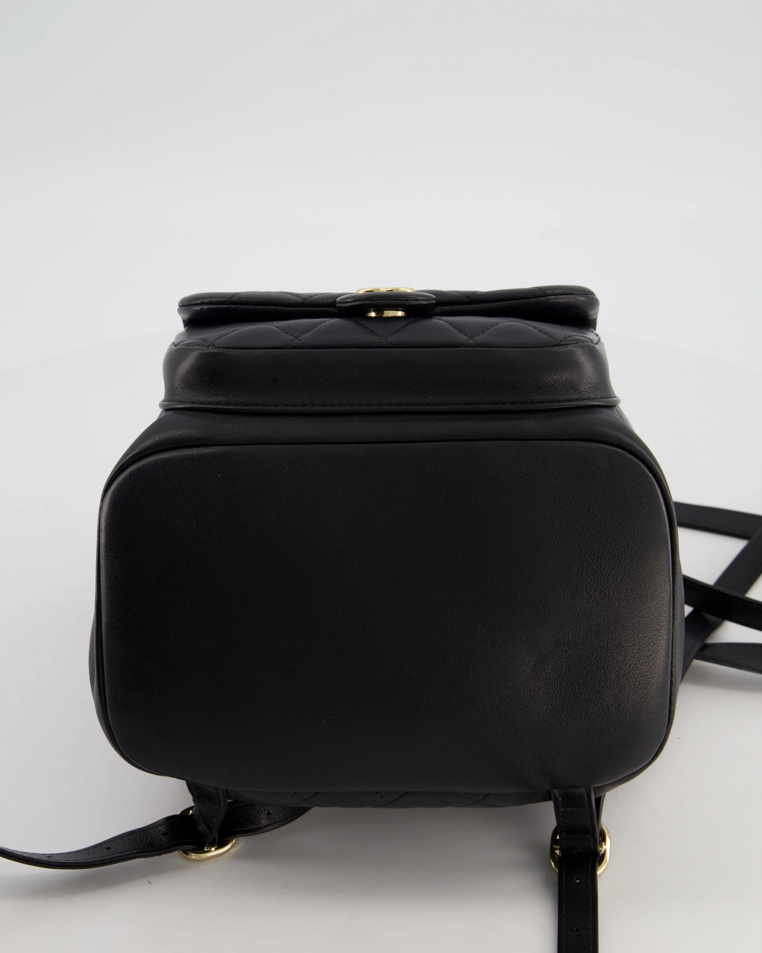 Chanel Black Calfskin Quilted Leather Backpack with Champagne Gold Hardware - Image 17
