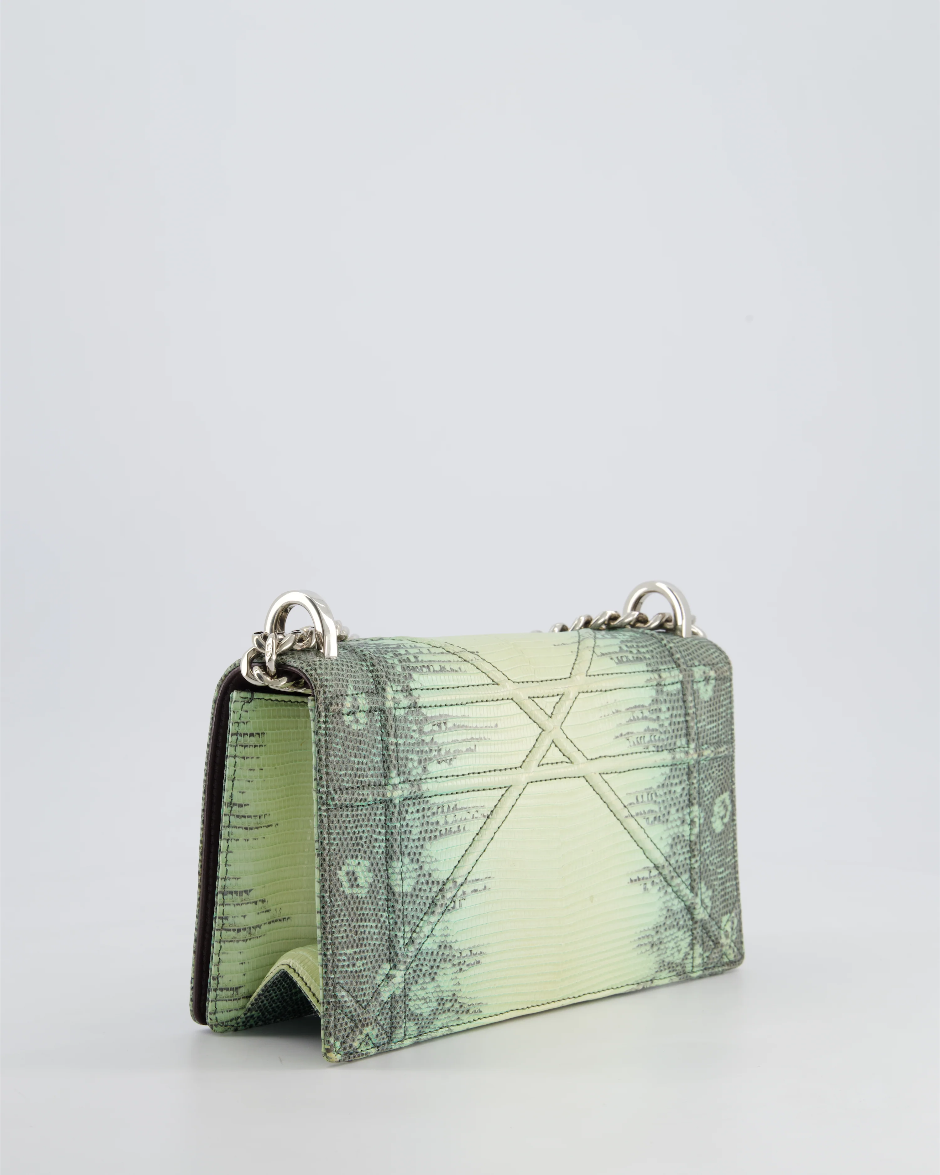 Christian Dior Small Diorama Flap Bag in Light Green Lizard With Silver Hardware - Image 10