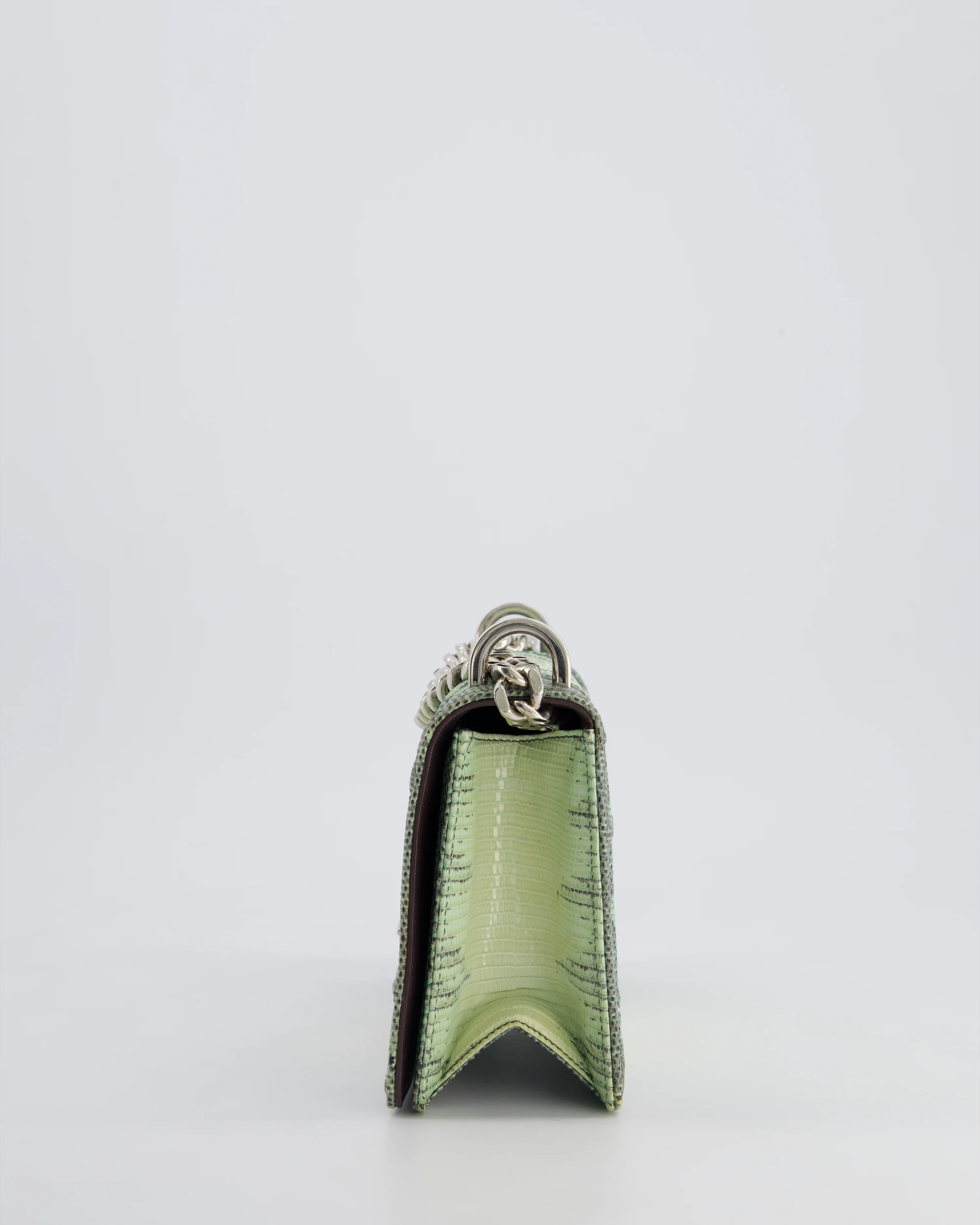 Christian Dior Small Diorama Flap Bag in Light Green Lizard With Silver Hardware - Image 11