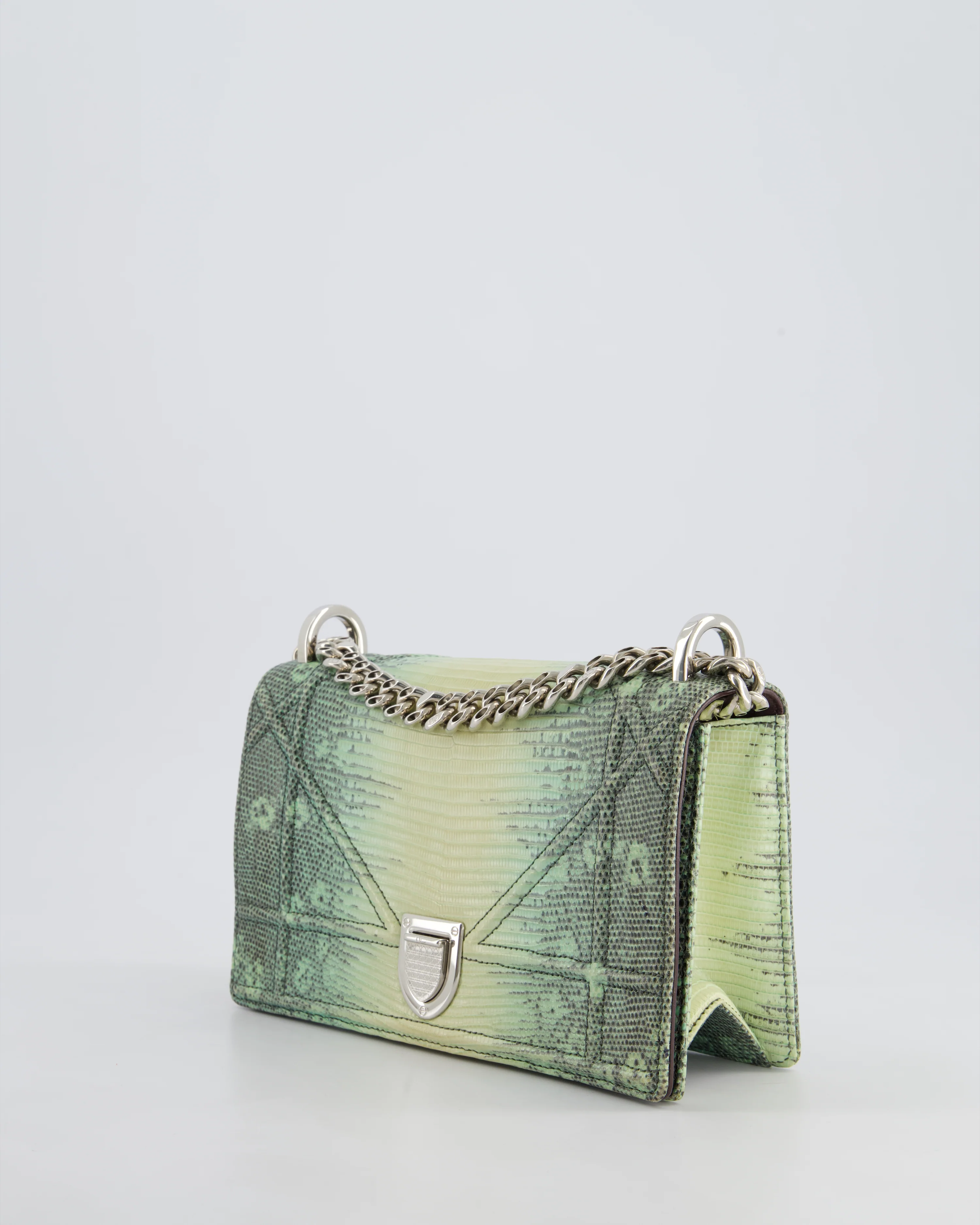 Christian Dior Small Diorama Flap Bag in Light Green Lizard With Silver Hardware - Image 12