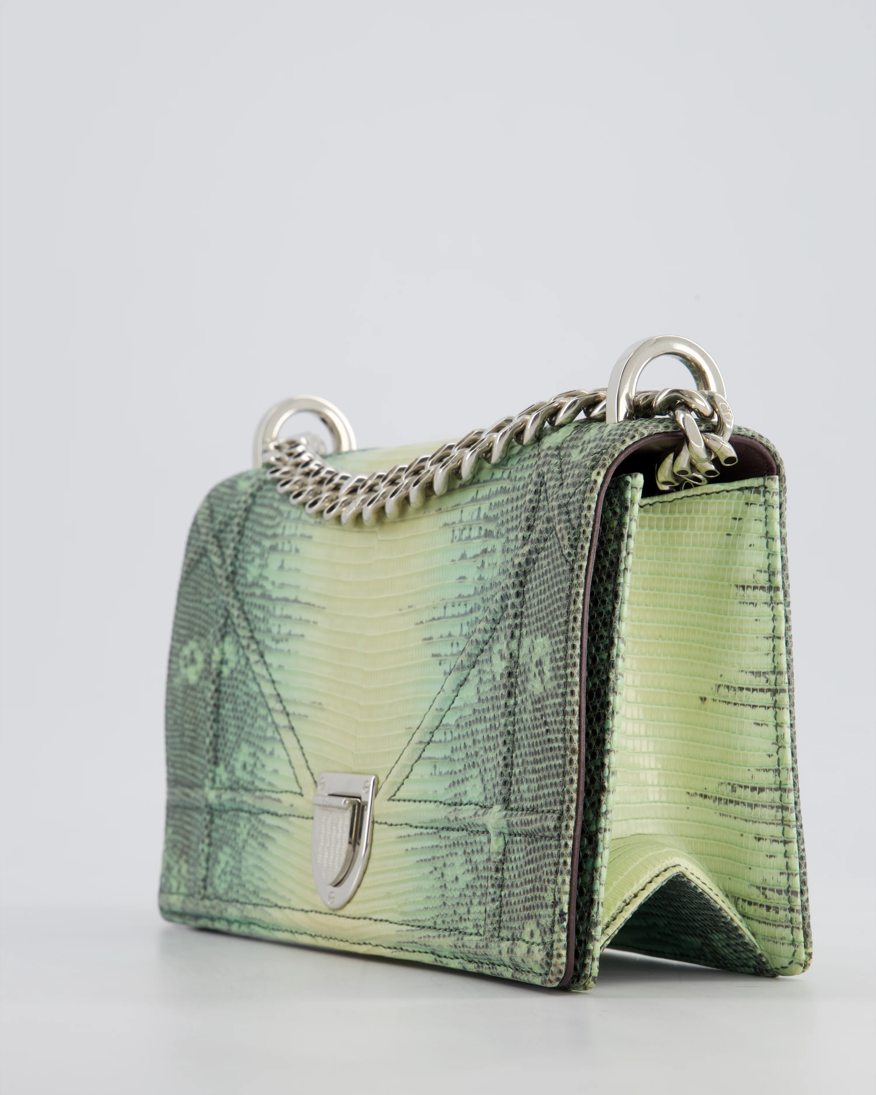 Christian Dior Small Diorama Flap Bag in Light Green Lizard With Silver Hardware - Image 14