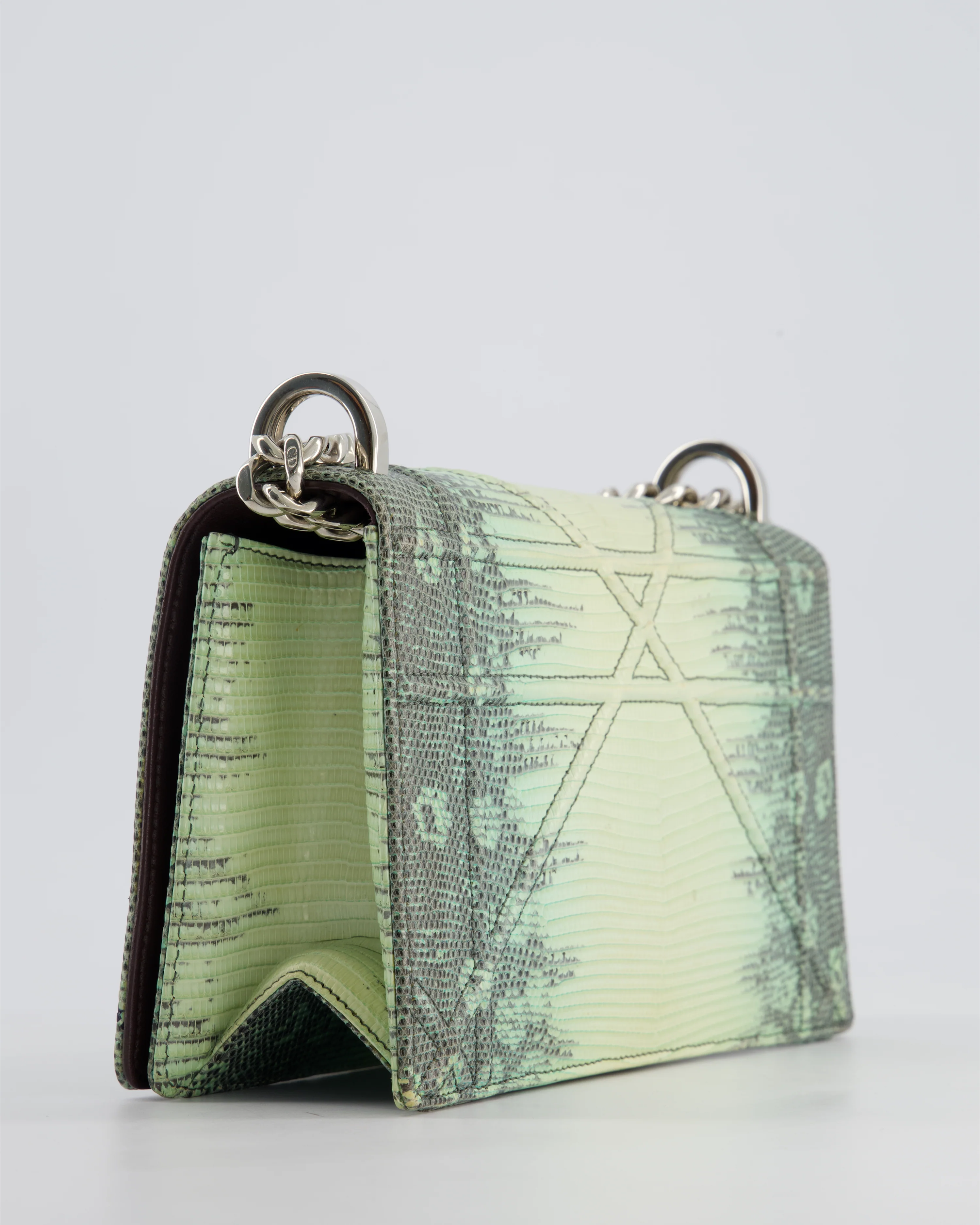 Christian Dior Small Diorama Flap Bag in Light Green Lizard With Silver Hardware - Image 16