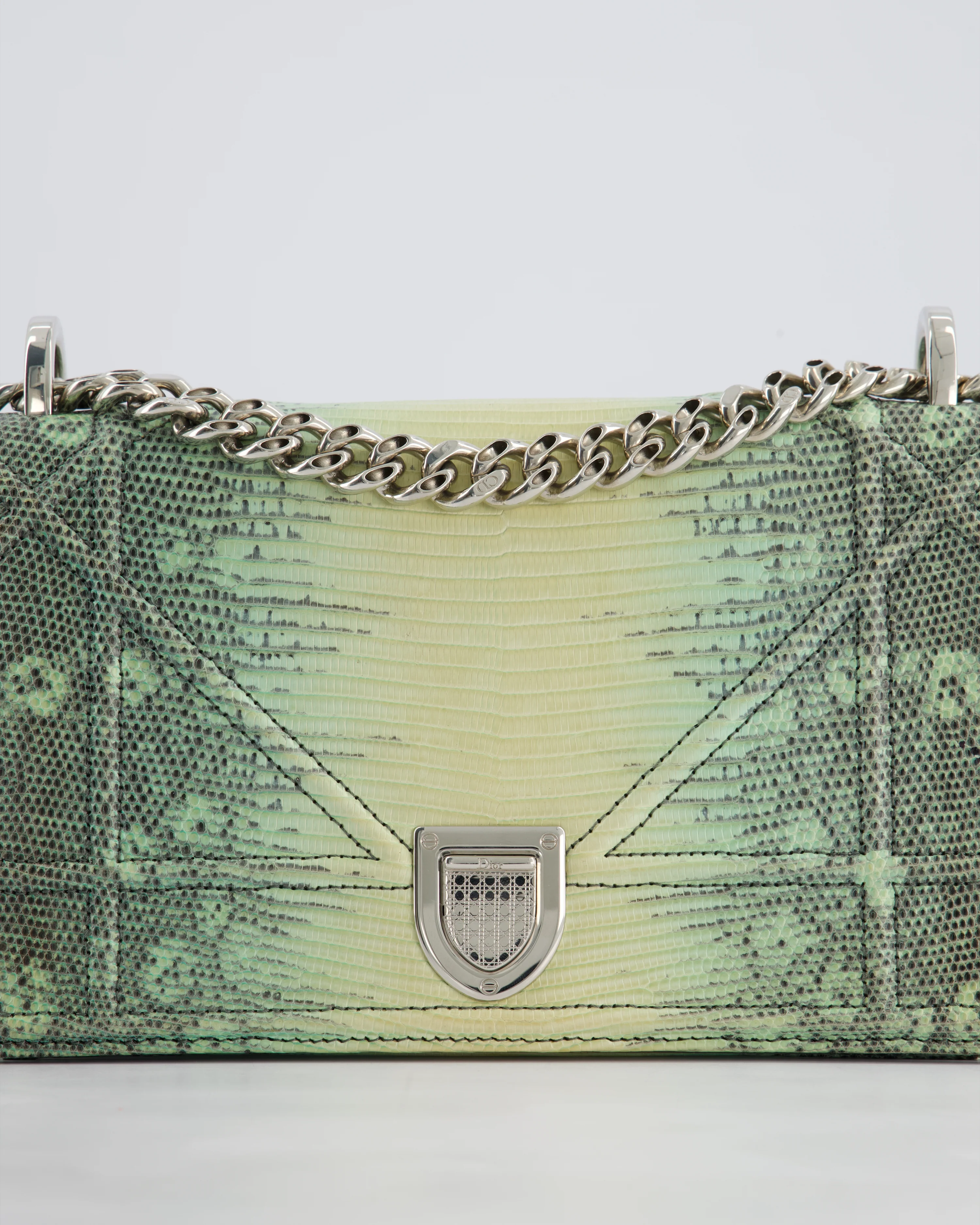 Christian Dior Small Diorama Flap Bag in Light Green Lizard With Silver Hardware - Image 17