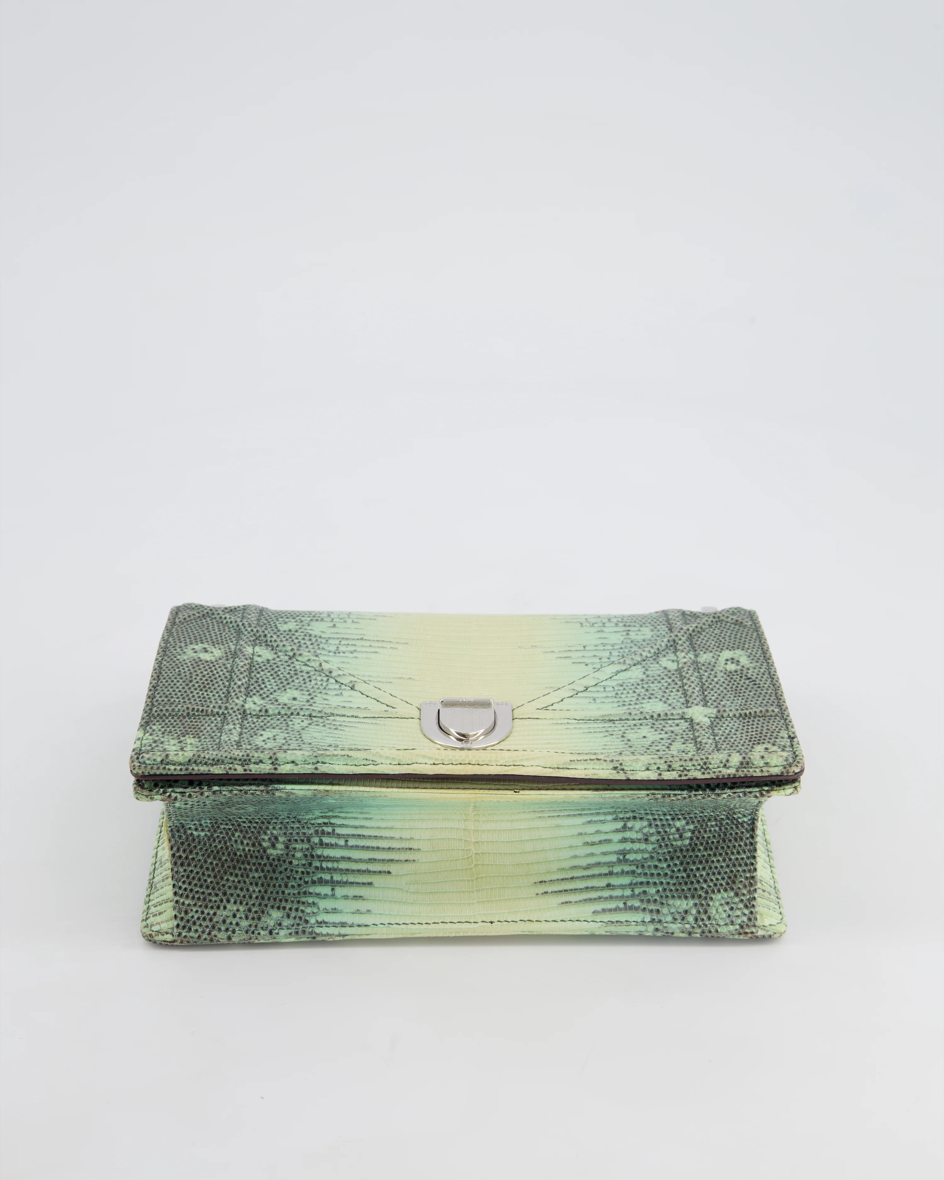 Christian Dior Small Diorama Flap Bag in Light Green Lizard With Silver Hardware - Image 18