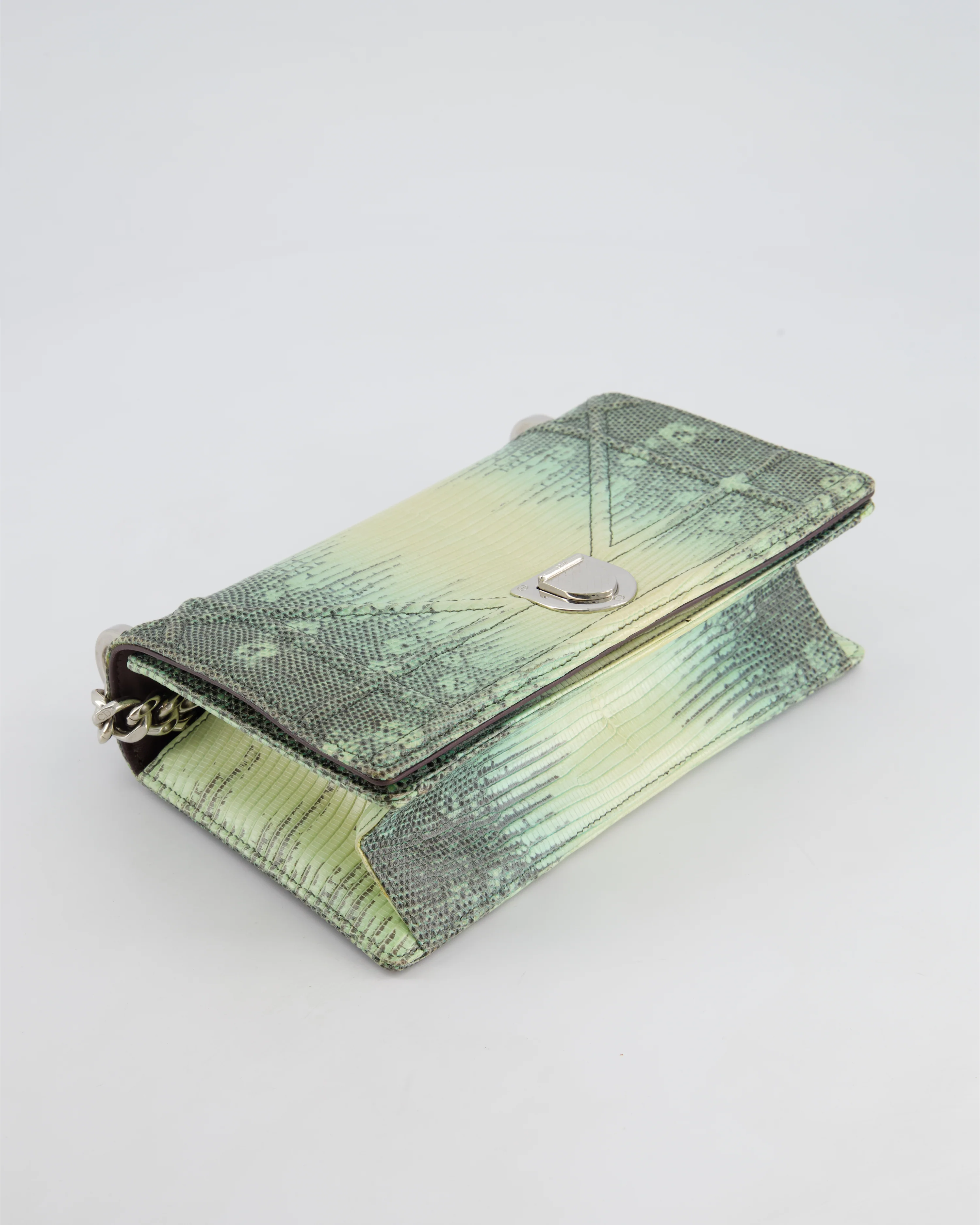 Christian Dior Small Diorama Flap Bag in Light Green Lizard With Silver Hardware - Image 19
