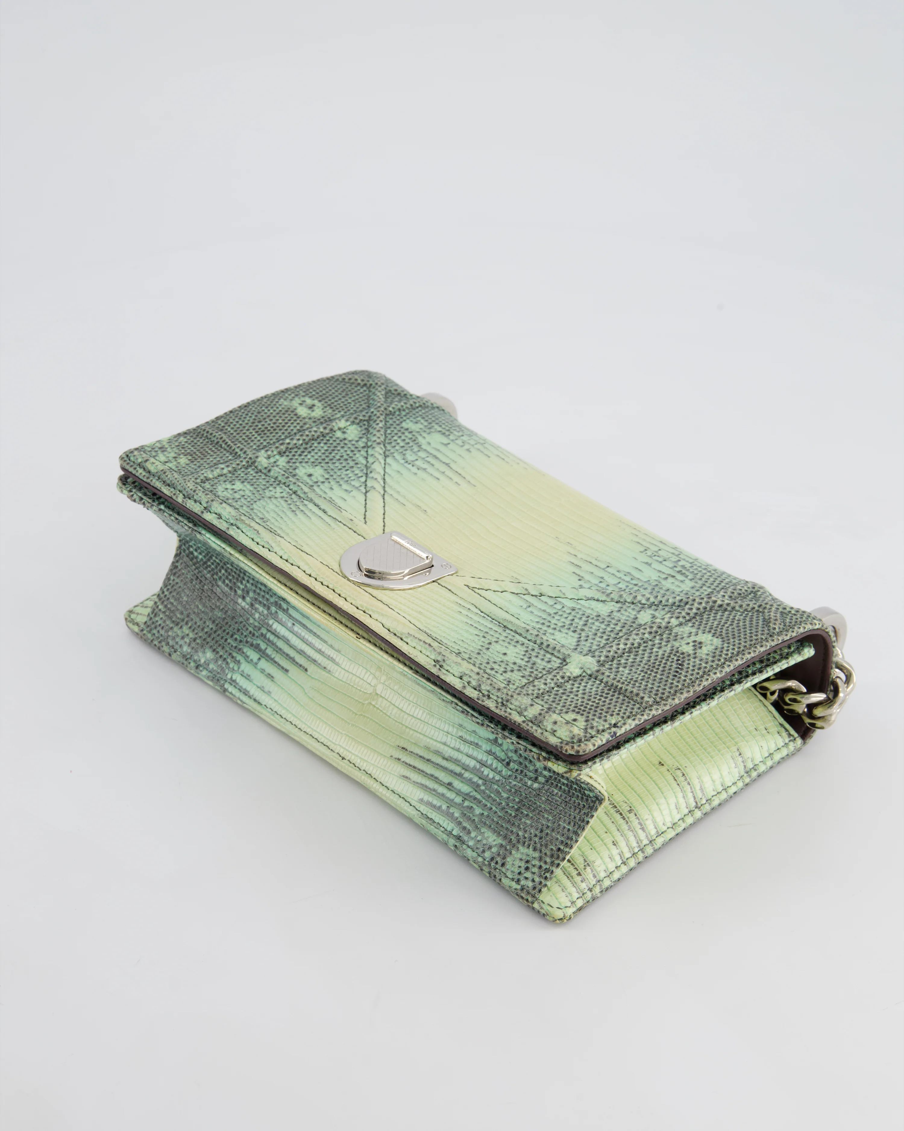 Christian Dior Small Diorama Flap Bag in Light Green Lizard With Silver Hardware - Image 20