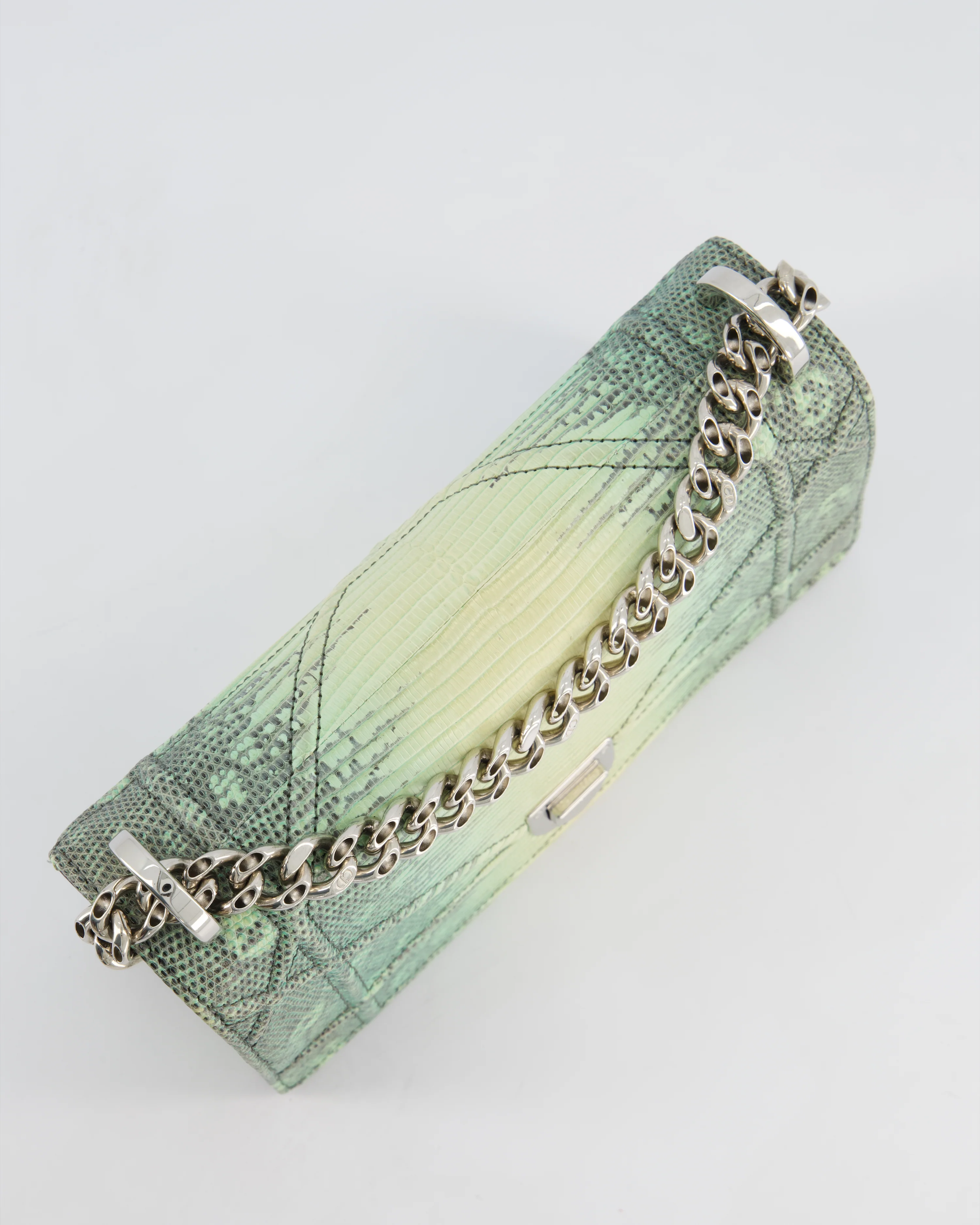 Christian Dior Small Diorama Flap Bag in Light Green Lizard With Silver Hardware - Image 21