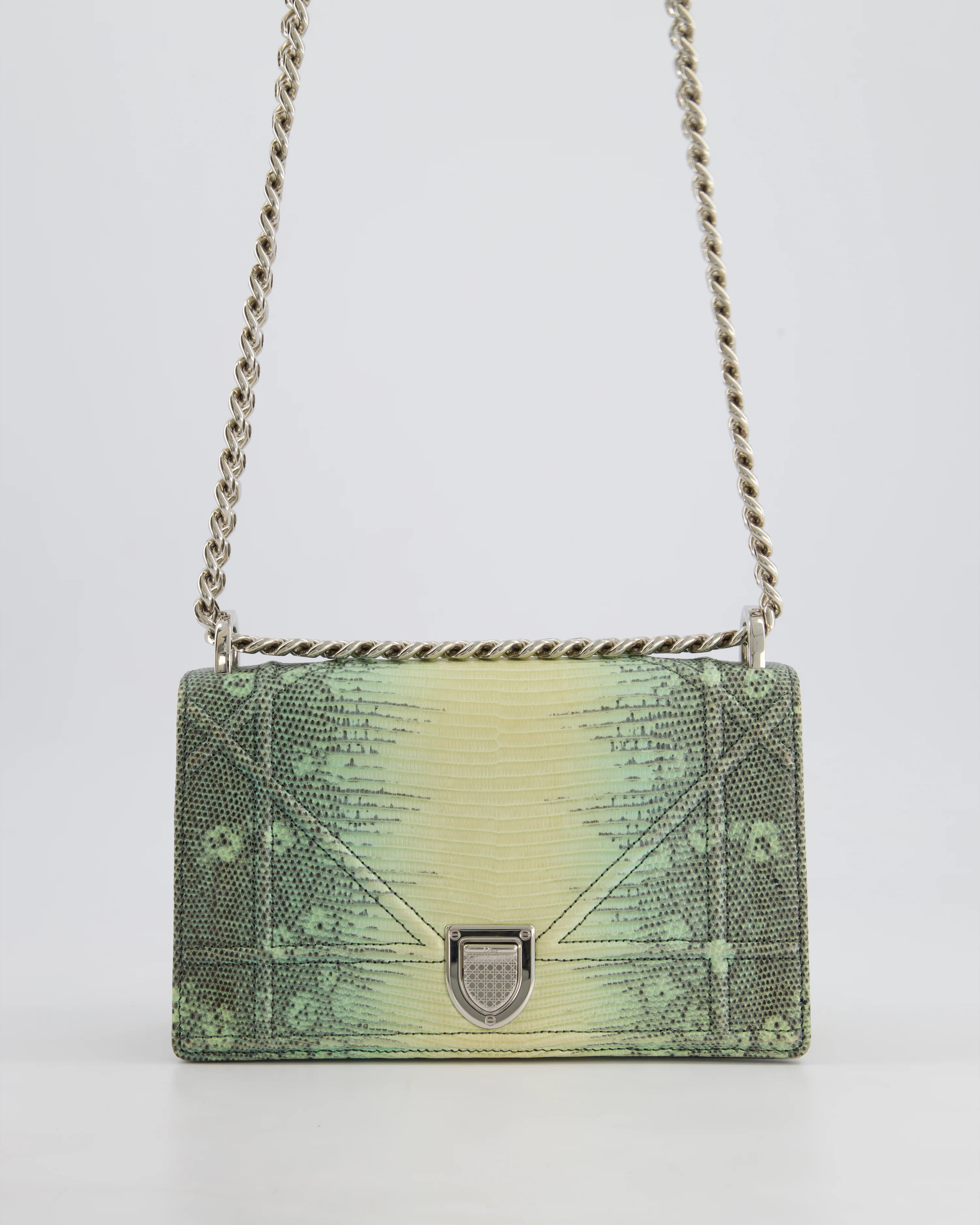 Christian Dior Small Diorama Flap Bag in Light Green Lizard With Silver Hardware - Image 4