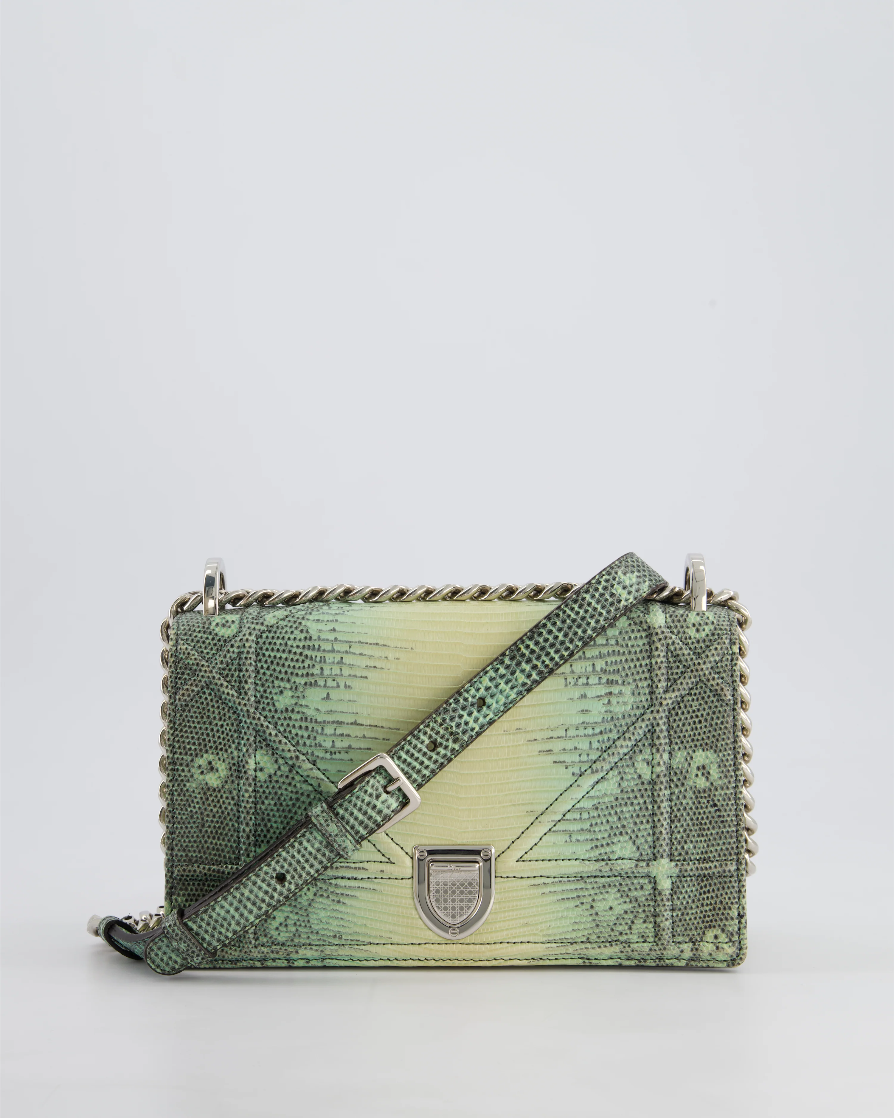 Christian Dior Small Diorama Flap Bag in Light Green Lizard With Silver Hardware - Image 5