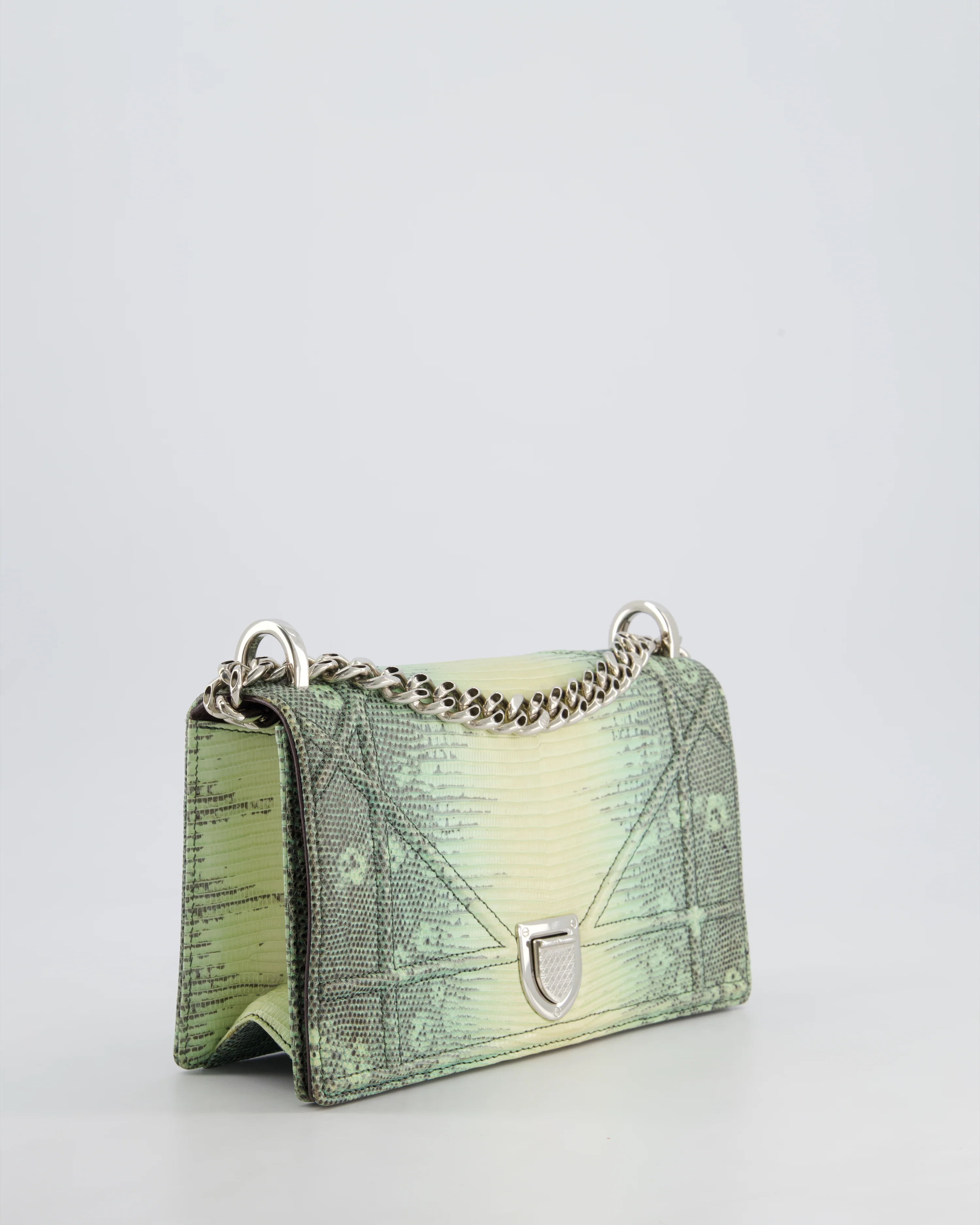 Christian Dior Small Diorama Flap Bag in Light Green Lizard With Silver Hardware - Image 6