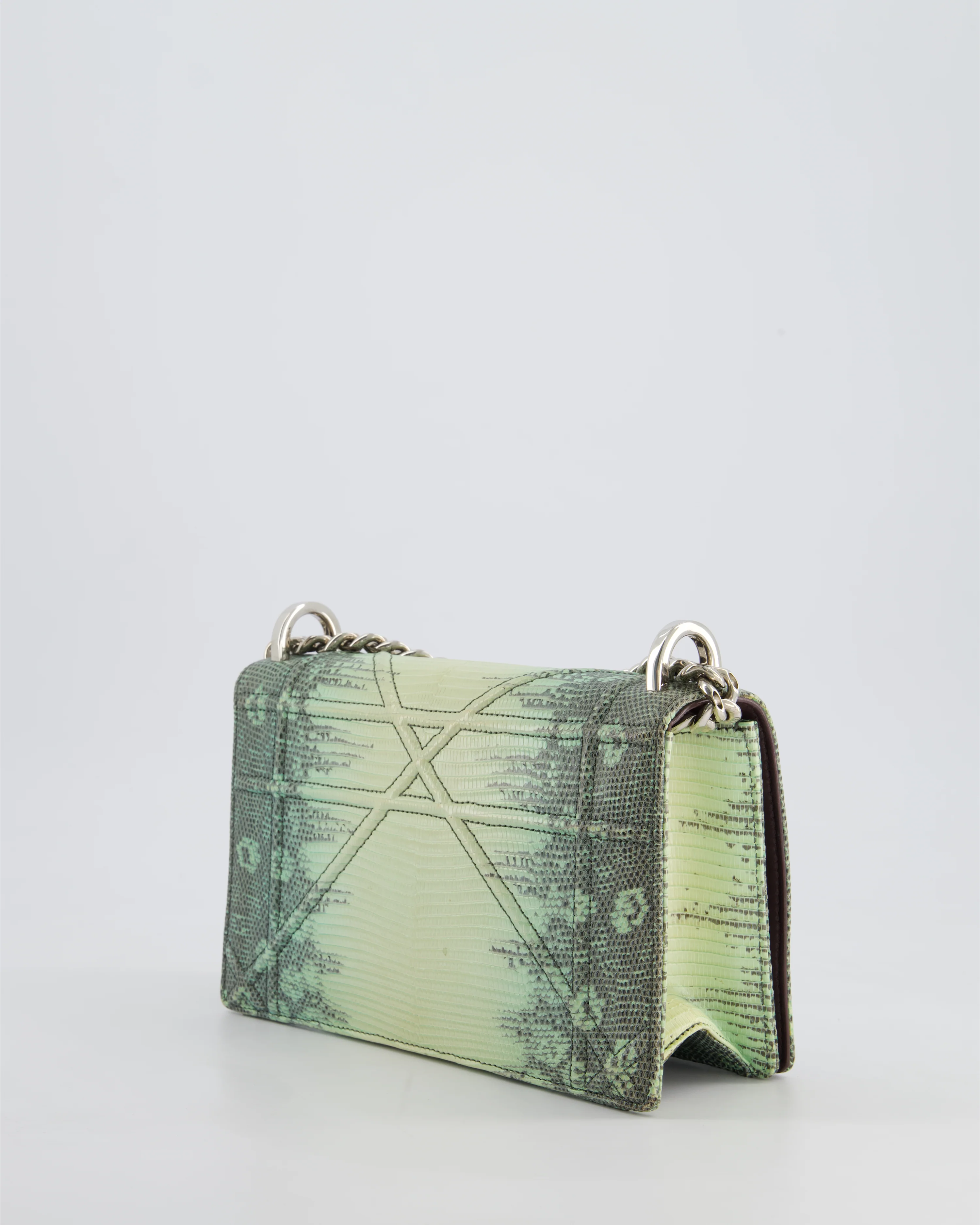 Christian Dior Small Diorama Flap Bag in Light Green Lizard With Silver Hardware - Image 8