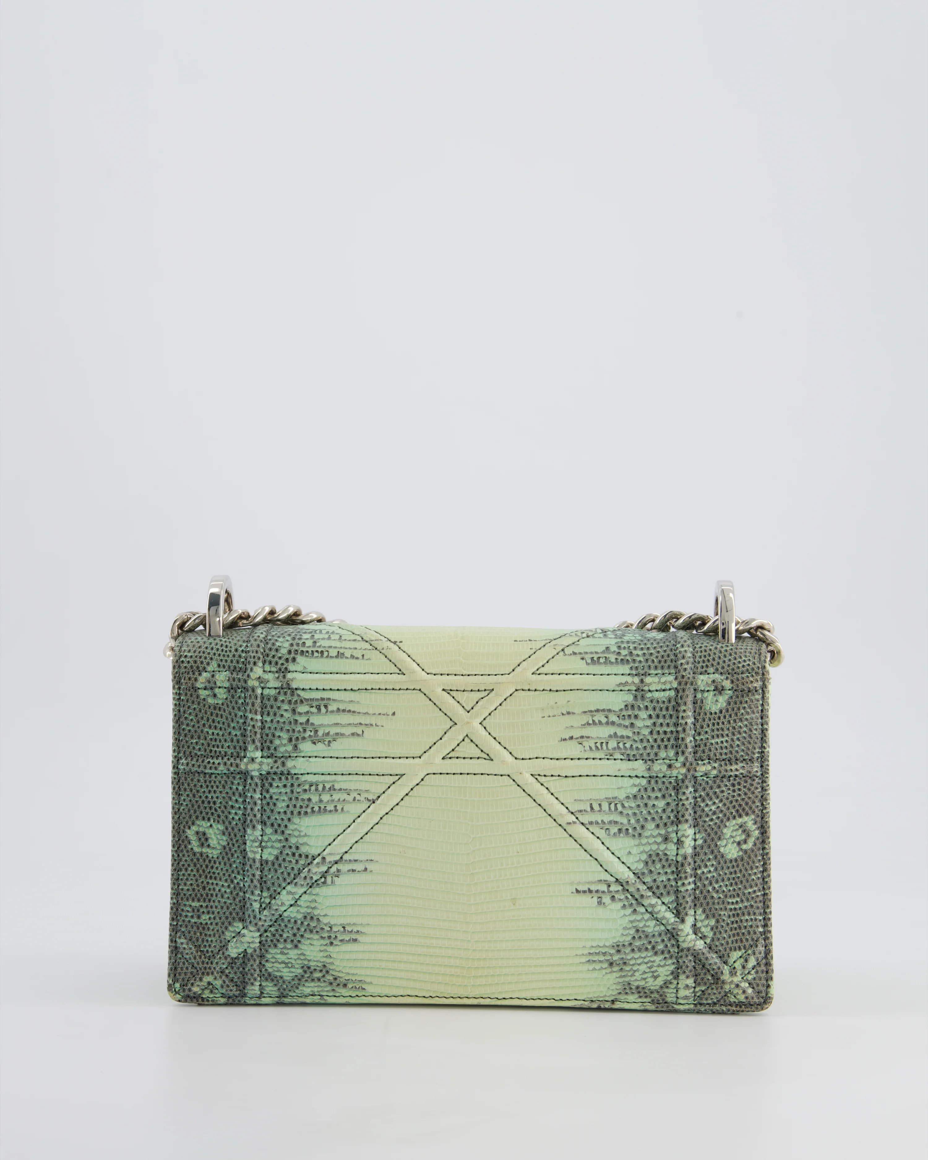 Christian Dior Small Diorama Flap Bag in Light Green Lizard With Silver Hardware - Image 9