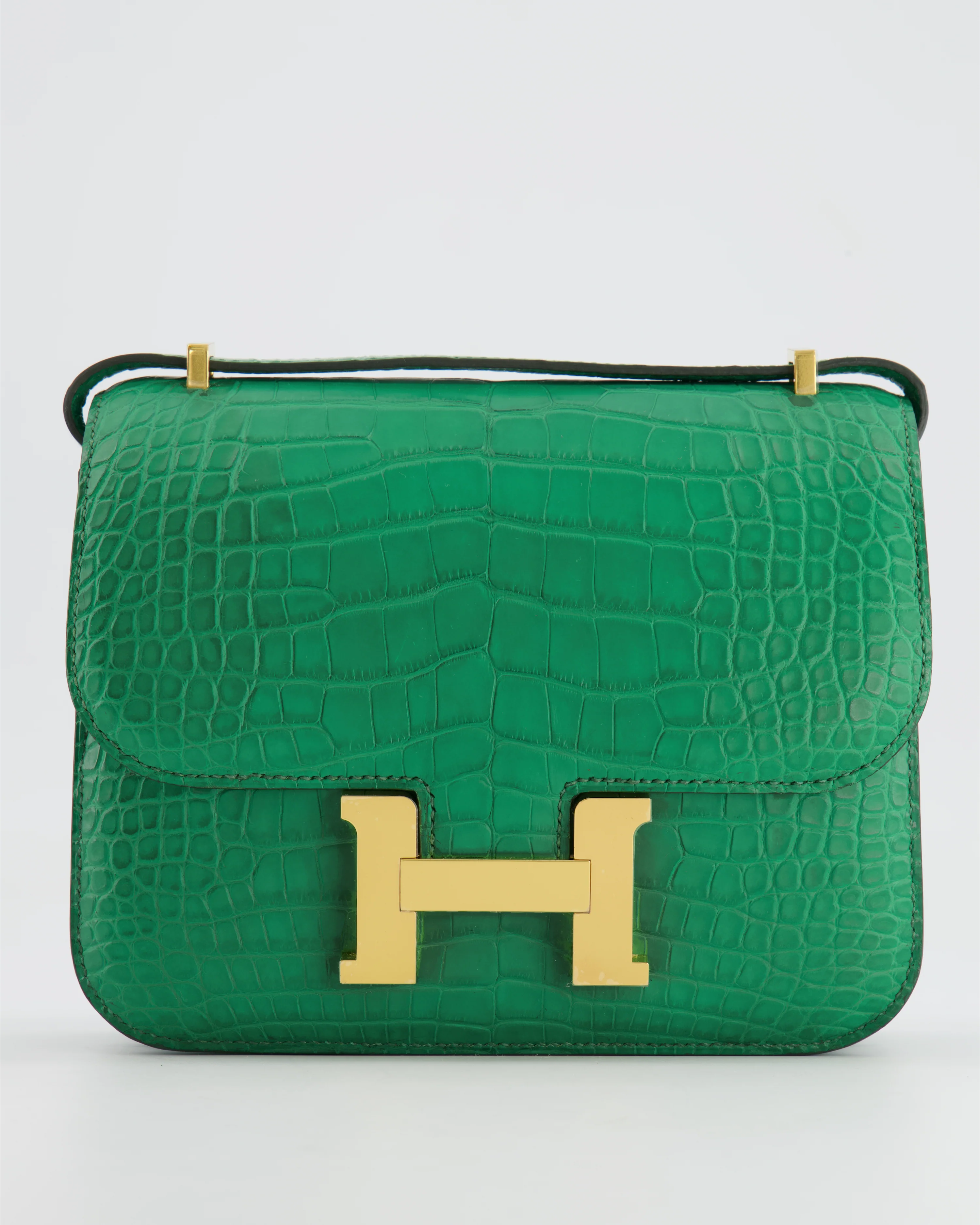 *STORE FRESH* Hermès Constance III 18 Bag in Cactus Alligator Mississippiensis Leather with Gold Hardware - Image 10
