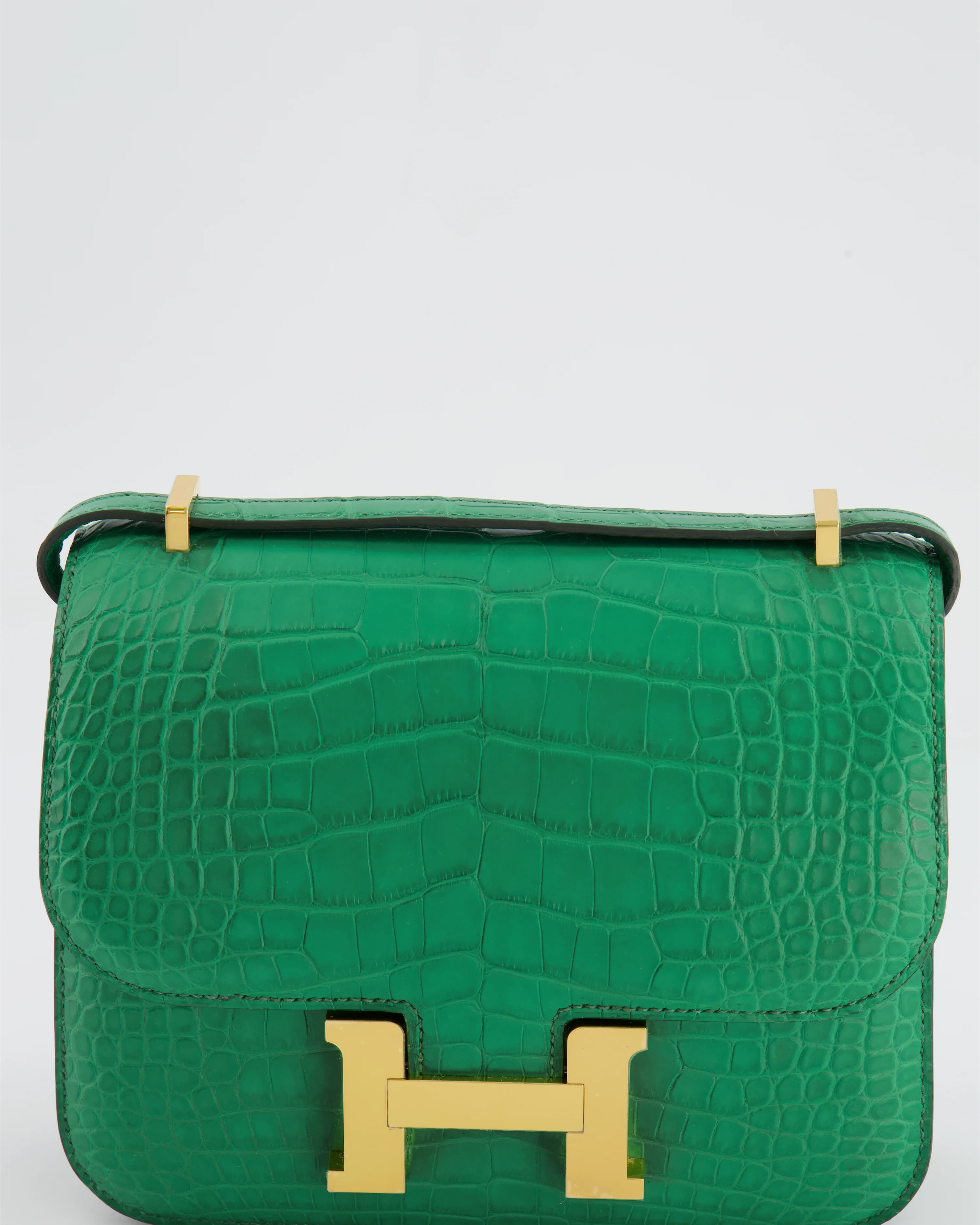 *STORE FRESH* Hermès Constance III 18 Bag in Cactus Alligator Mississippiensis Leather with Gold Hardware - Image 14